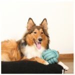 D&D Knotenball Skip - blau - 15cm-2