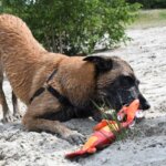 Hozies Trixy Trumpet aus Feuerwehrschlauch - Small-4 Hozies Trixy Trumpet aus Feuerwehrschlauch - Small-4