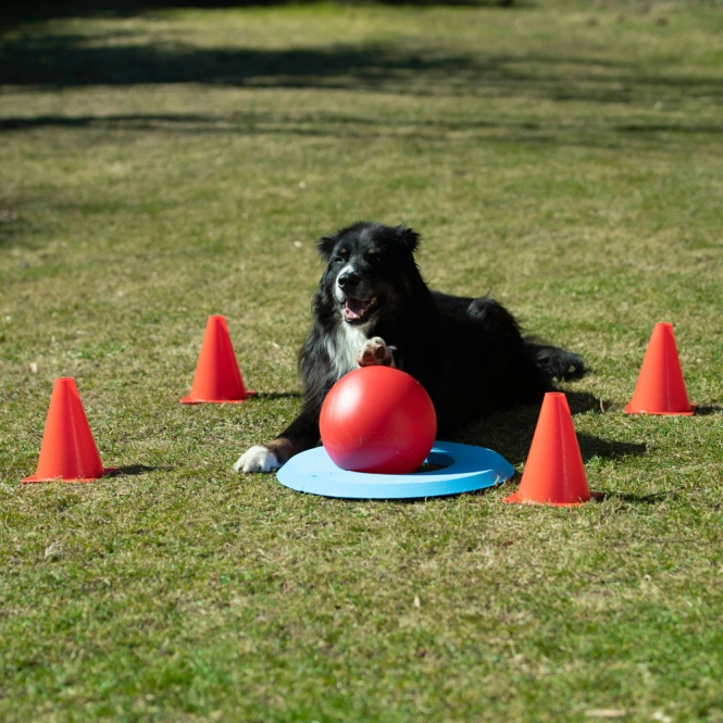PROCYON Dog Golf Set-2