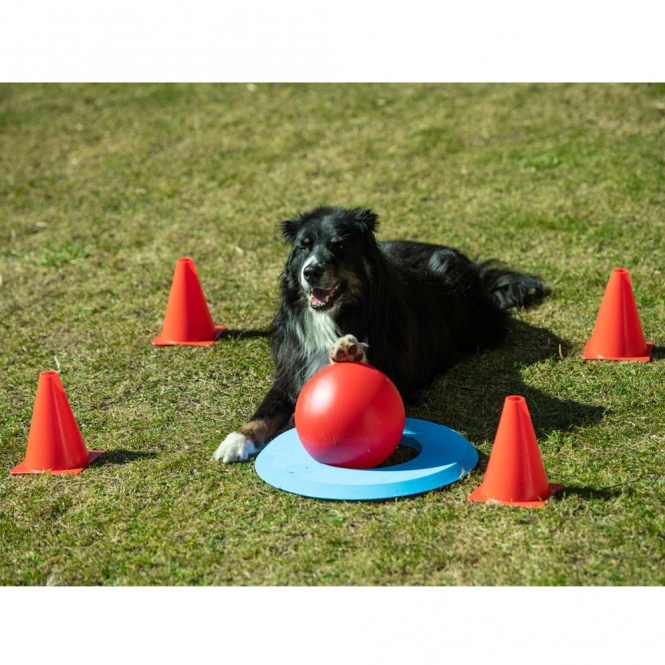 PROCYON Dog Golf Set-3