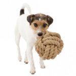 Trixie BE NORDIC Tau-Ball für Hunde - 13 cm-3